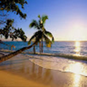 Meet your Posher, Maryann